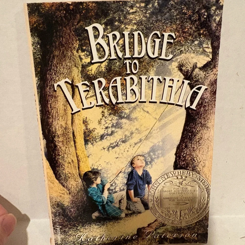 Assorted chapter children books including Hatchett and treasure Island